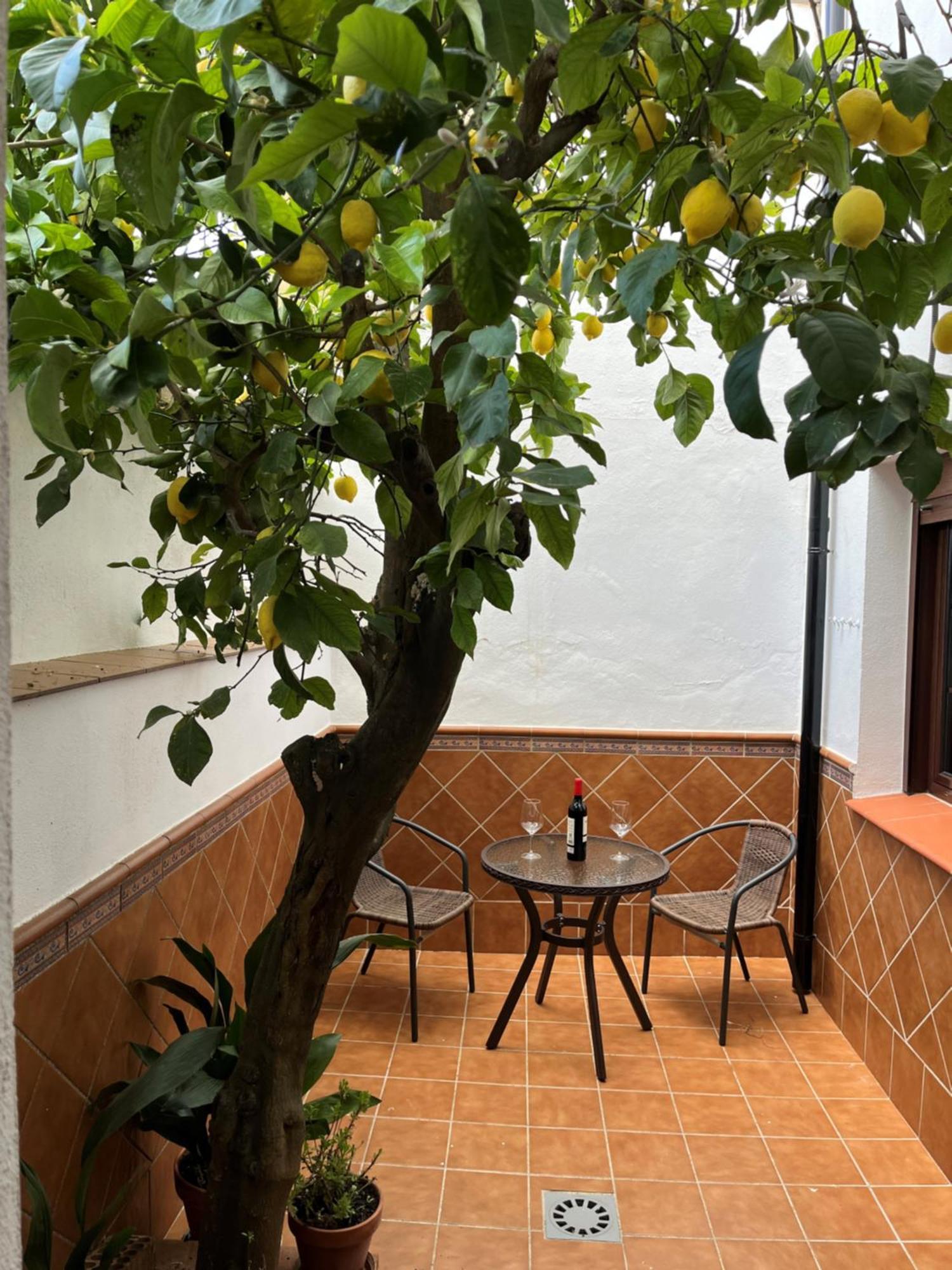 Casa Arao Villa Грасалема Екстериор снимка